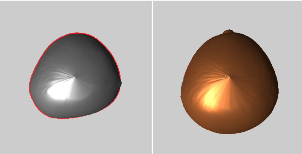 Before and After Top of Head